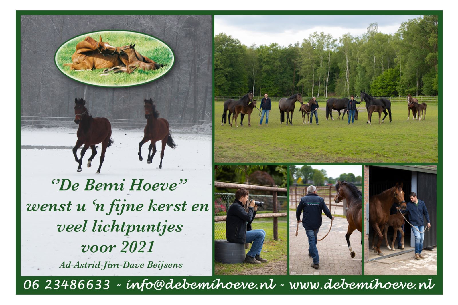 De Bemi Stud Farm